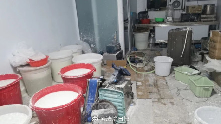 表面救助流浪猫实际在贩毒 表面救助流浪猫实际在贩毒