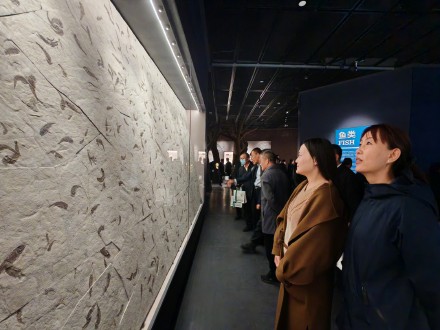 辽宁朝阳鸟化石国家地质公园升级了