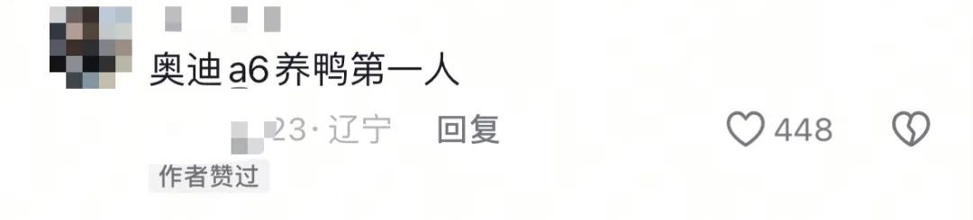 奥迪车后备箱变鸭圈！奶奶途经服务区还给鸭喂食，网友调侃：奥迪养鸭第一人