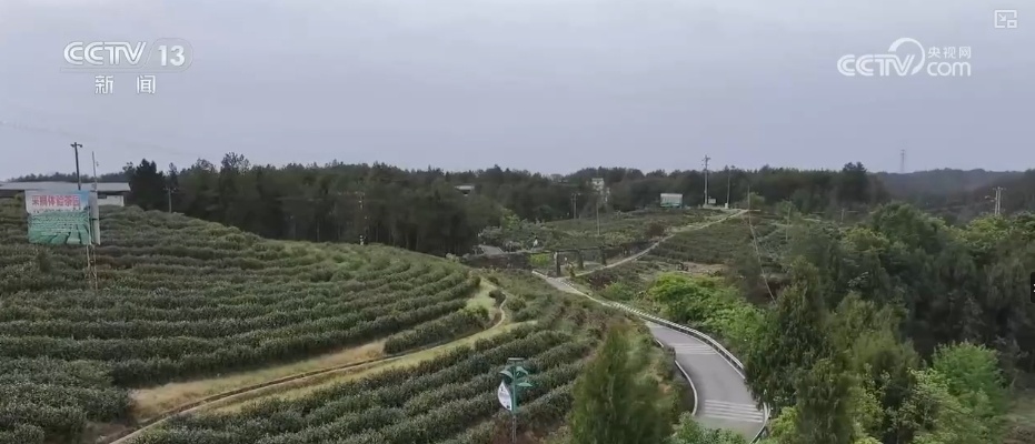 “国潮+”“露台+”“美食+”，准备好了！“五一”假期多样文旅新场景等你来