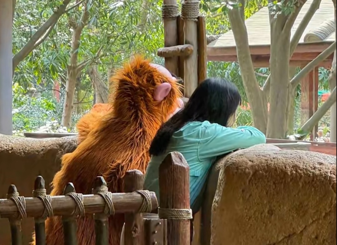 上海迪士尼突传消息!这一项目停运 上海迪士尼突传消息!这一项目停运