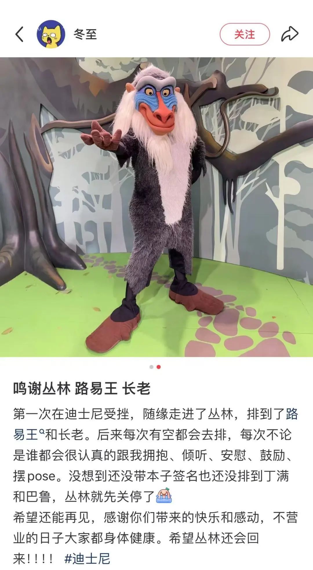 突传消息！上海迪士尼这个互动项目要取消？网友：莫名心疼...