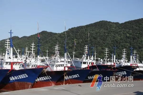 5月1日12时起宁波进入伏季休渔期，3607艘渔船将返港休渔