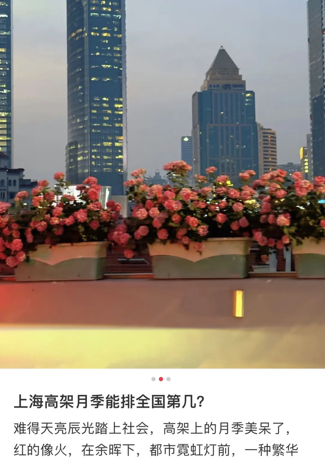 上海是懂浪漫的!一年一度走花路,网友感慨:上海“美呆了” 上海是懂浪漫的!一年一度走花路,网友感慨:上海“美呆了”