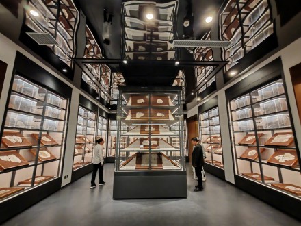 辽宁朝阳鸟化石国家地质公园升级了