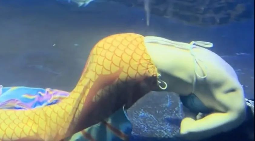 女演员溺水紧急送医！原因公布