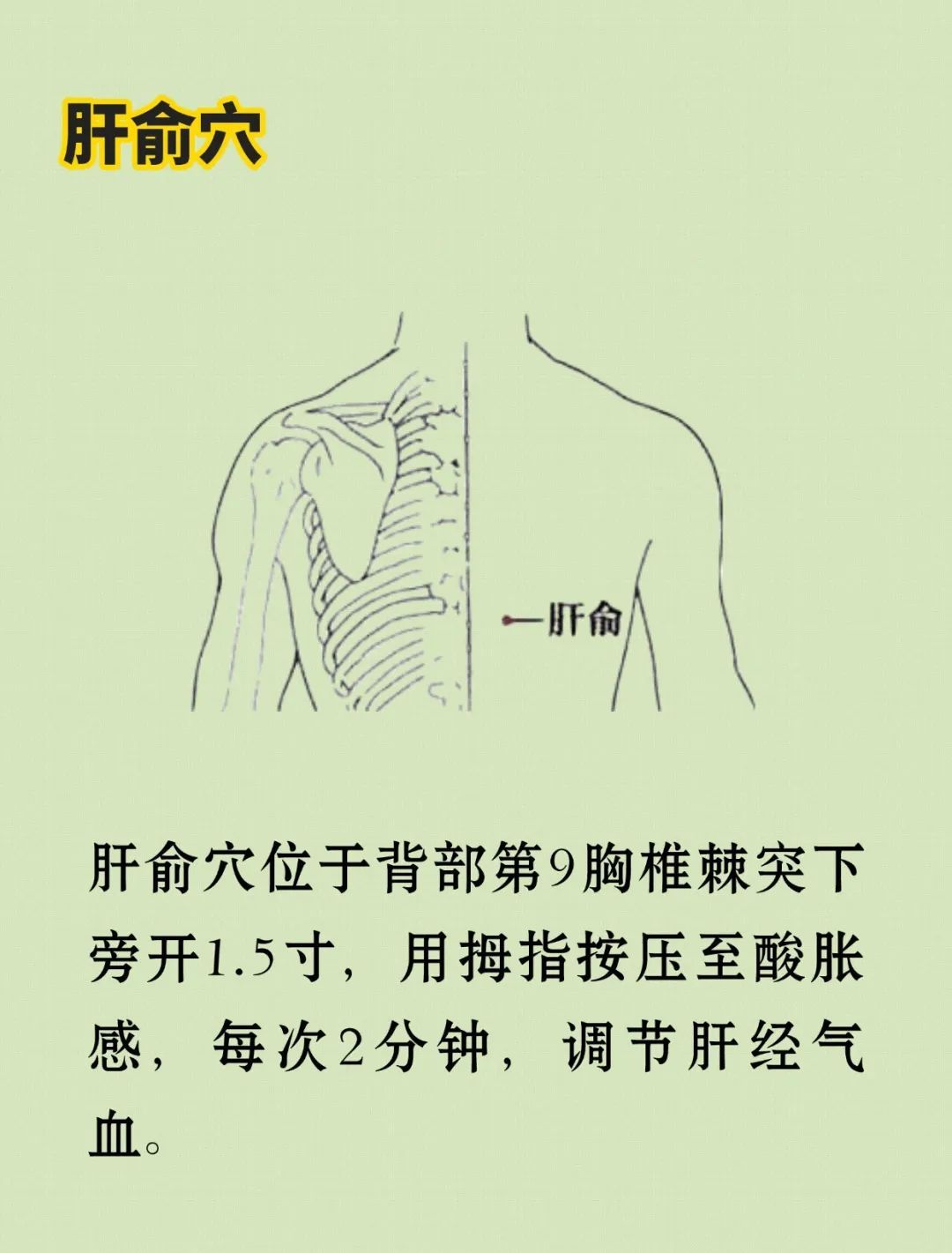 肝好人不老！养肝怎么吃、怎么按、怎么喝？跟着做，抓住春夏养肝黄金期！