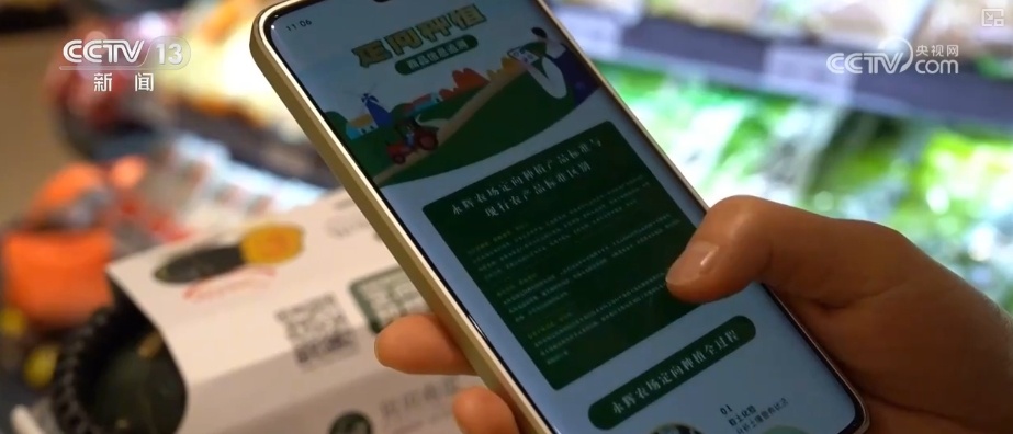 消费市场热度持续攀升 假日消费品供需两旺 小袋装、健康化商品走俏 消费市场热度持续攀升 假日消费品供需两旺 小袋装、健康化商品走俏