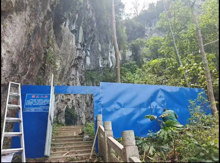广西河池“世界第一长洞”内钟乳石被刻字后续:当地宣布涉事溶洞禁止进入 广西河池“世界第一长洞”内钟乳石被刻字后续:当地宣布涉事溶洞禁止进入