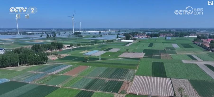 “菜篮子”丰盈、“肉蛋奶”足 !“五一”假期市场供应品种丰富、价格稳定 “菜篮子”丰盈、“肉蛋奶”足 !“五一”假期市场供应品种丰富、价格稳定