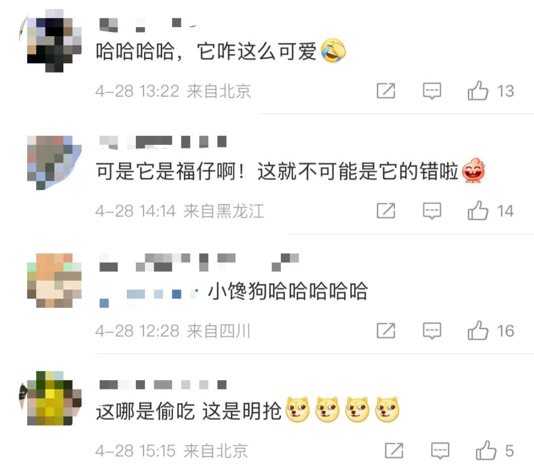 抢夺小朋友烤肠，工作期间不听上级指挥！警犬福仔被通报
