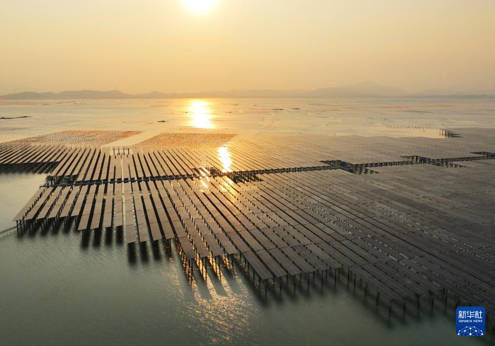 我国首个高风速海域海上光伏项目实现全容量并网