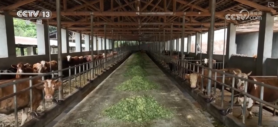 量足、品丰、价稳!百姓餐桌消费“基本盘”“五一”假期市场供应有保障 量足、品丰、价稳!百姓餐桌消费“基本盘”“五一”假期市场供应有保障