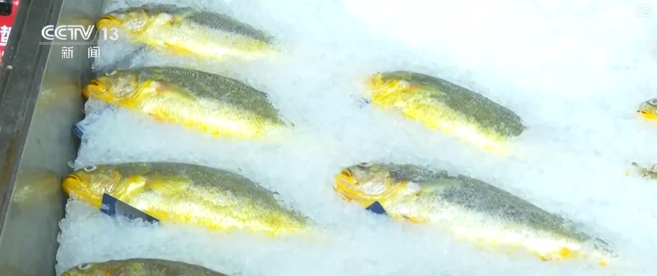 消费市场热度持续攀升 假日消费品供需两旺 小袋装、健康化商品走俏 消费市场热度持续攀升 假日消费品供需两旺 小袋装、健康化商品走俏