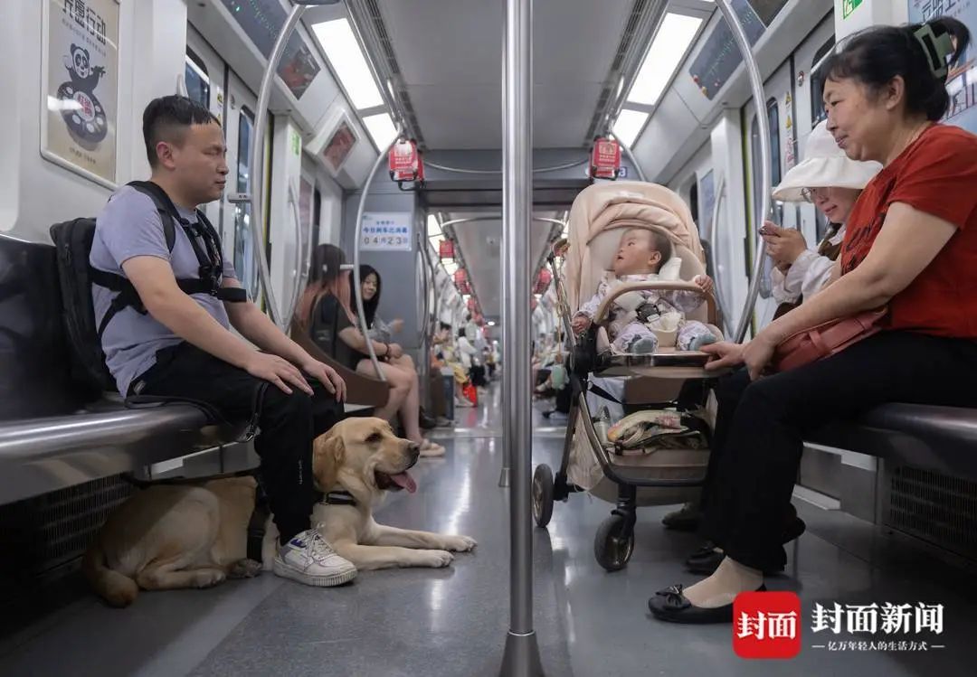4.25万分之一的幸运！视障者兰海波：导盲犬让我真正拥有了生活