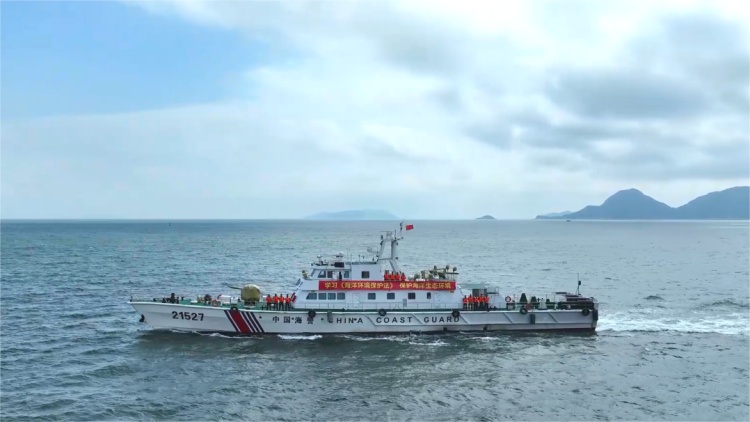 岛上的野草您别乱采,3人私挖牛大力被海警处罚 岛上的野草您别乱采,3人私挖牛大力被海警处罚