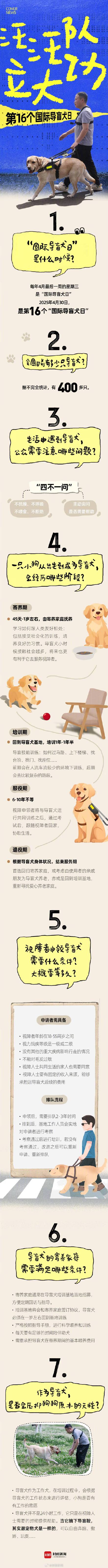 今天，一起说“谢谢导盲犬”