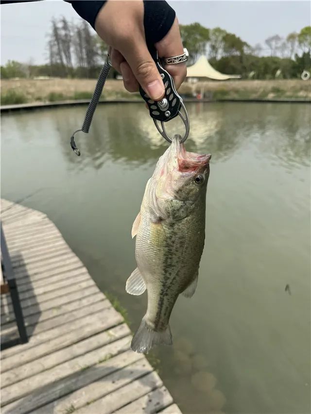 上海00后的职业如此松弛？有人一天收入800元！