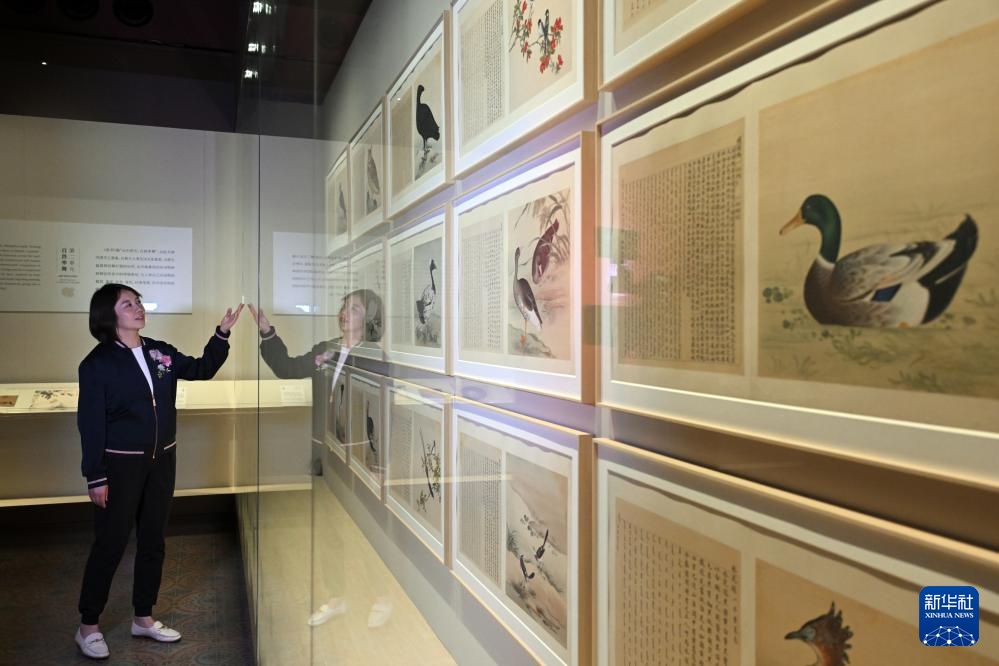 文化中国行丨看紫禁城里的“神奇动物”