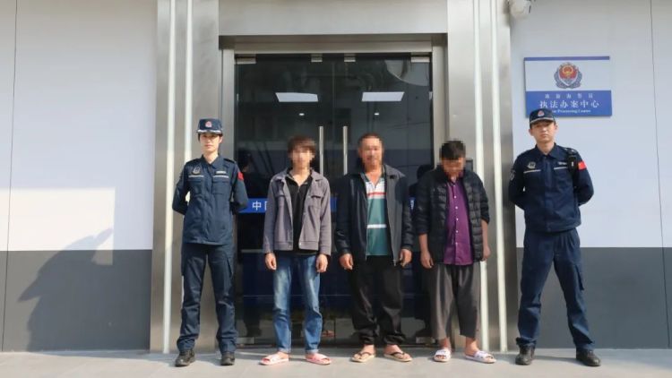 岛上的野草您别乱采,3人私挖牛大力被海警处罚 岛上的野草您别乱采,3人私挖牛大力被海警处罚