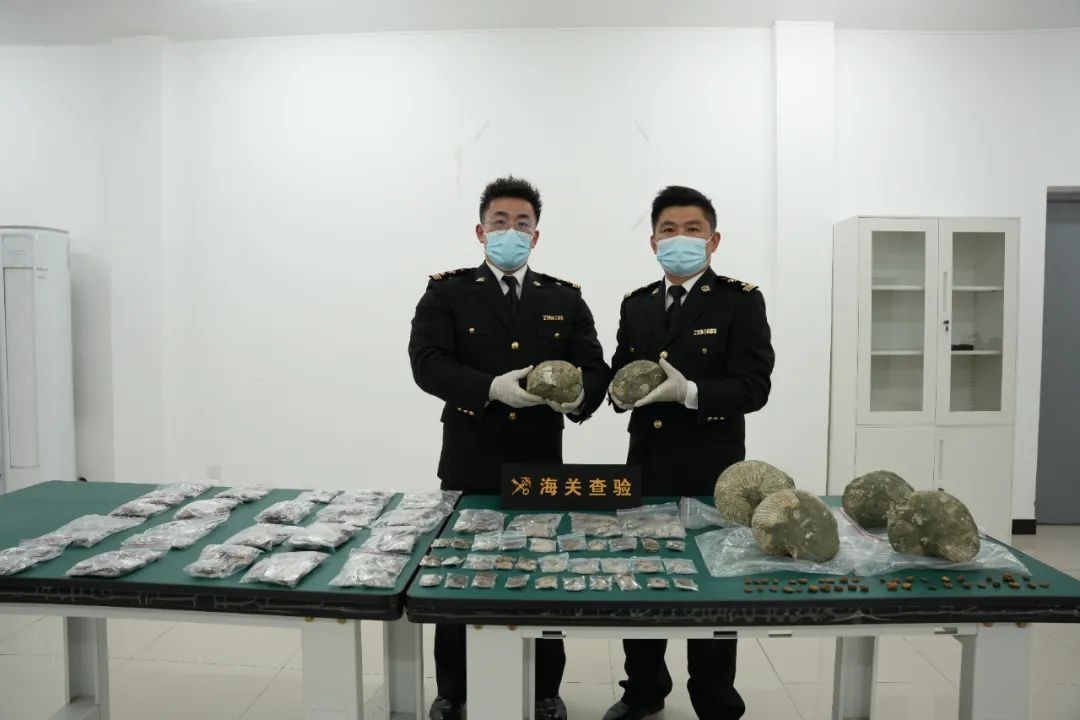 海关在出口快件渠道查获2366件古生物化石制品