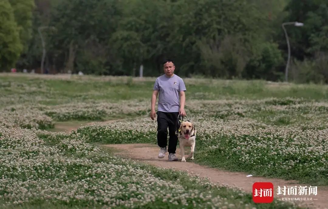 4.25万分之一的幸运！视障者兰海波：导盲犬让我真正拥有了生活