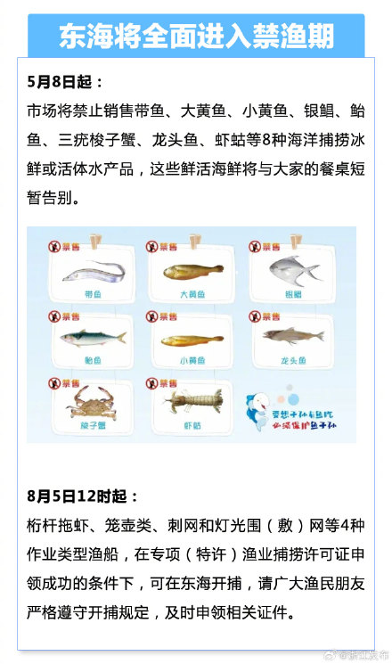 东海自5月1日12时起全面进入禁渔期