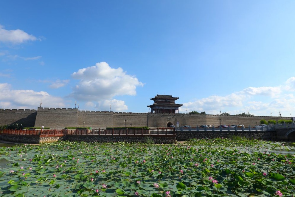 河北“花式宠粉”的心思,藏不住了 河北“花式宠粉”的心思,藏不住了