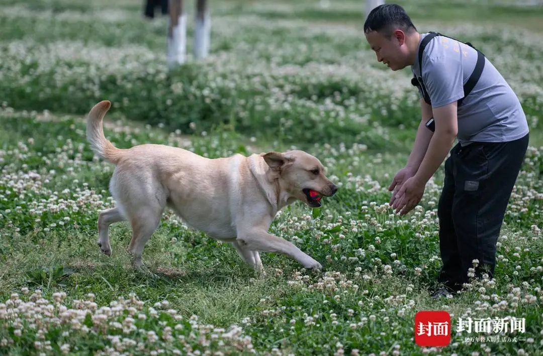 4.25万分之一的幸运！视障者兰海波：导盲犬让我真正拥有了生活