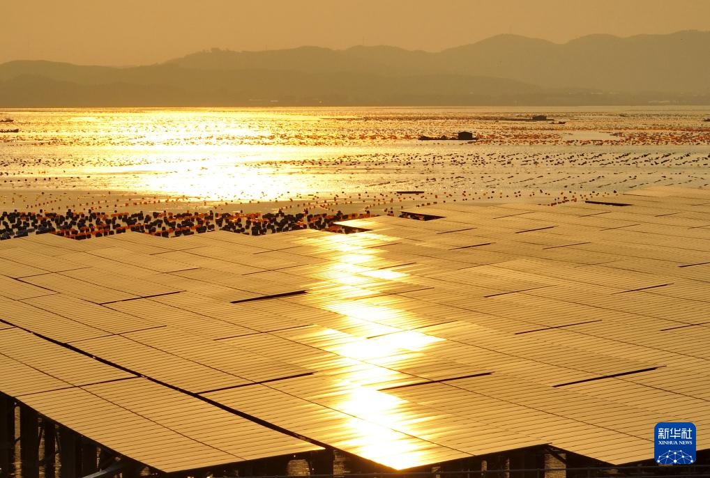 我国首个高风速海域海上光伏项目实现全容量并网