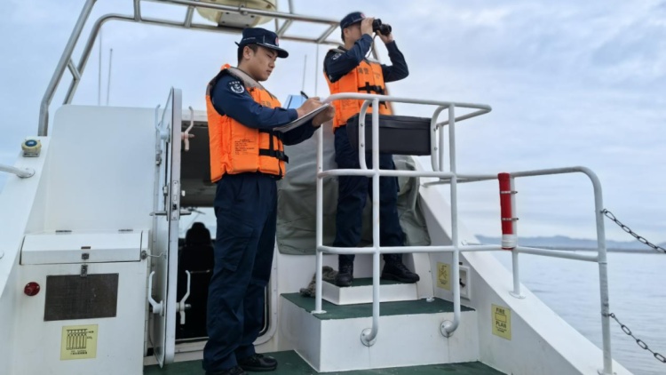 岛上的野草您别乱采,3人私挖牛大力被海警处罚 岛上的野草您别乱采,3人私挖牛大力被海警处罚