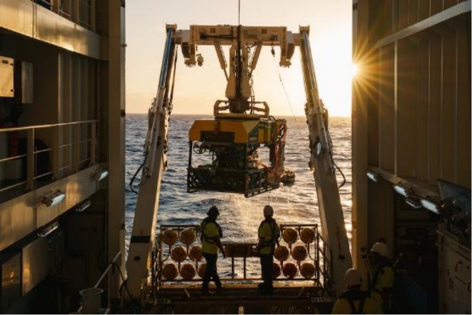 深海魅影:人类首次在自然栖息地拍摄到巨型乌贼 深海魅影:人类首次在自然栖息地拍摄到巨型乌贼