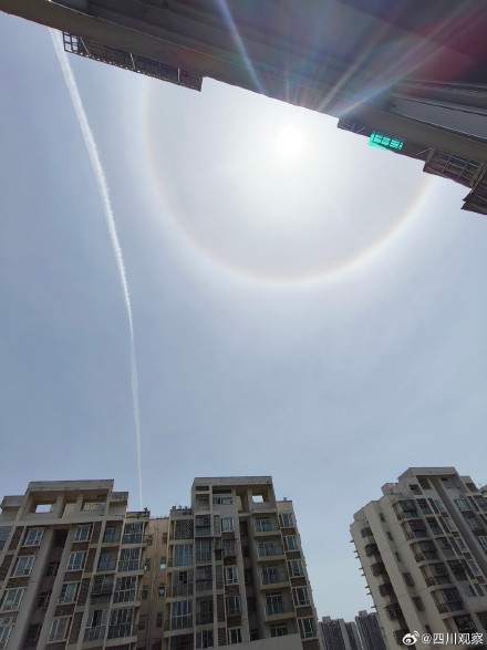 见者好运！成都蛇年蛇月蛇日蛇时日晕