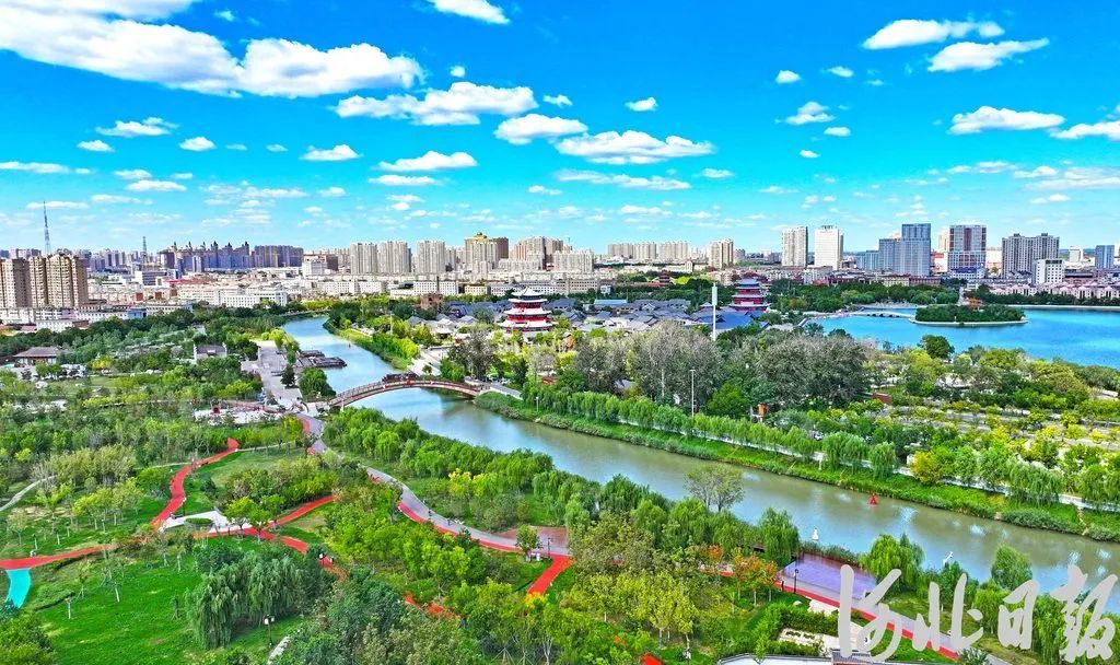 河北“花式宠粉”的心思,藏不住了 河北“花式宠粉”的心思,藏不住了