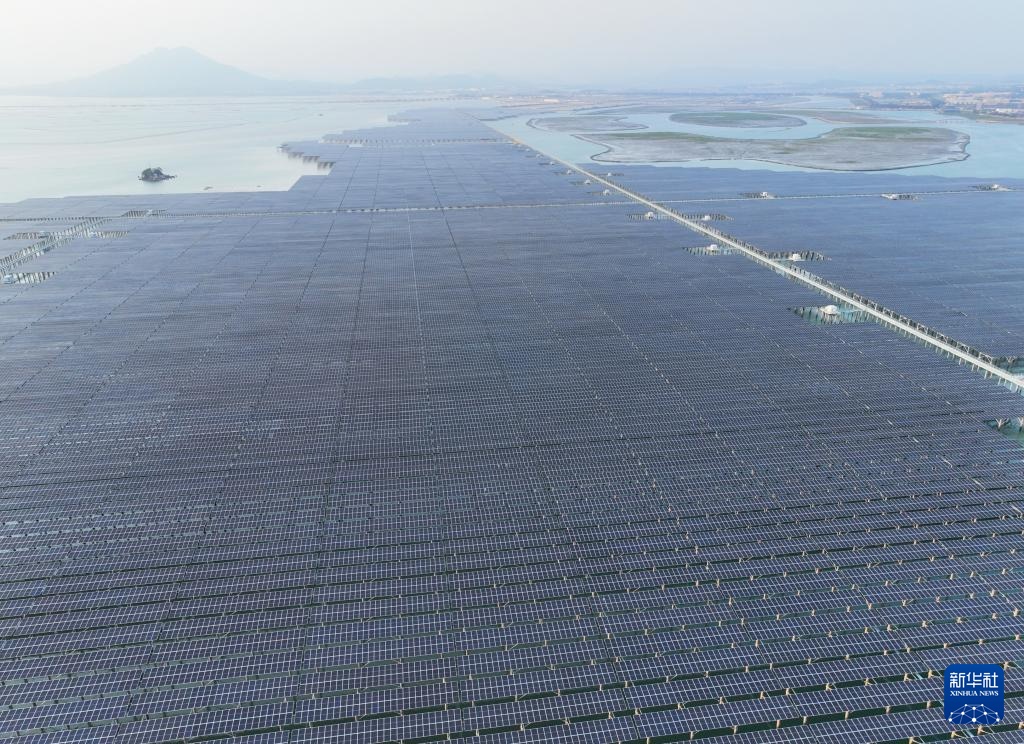 我国首个高风速海域海上光伏项目实现全容量并网