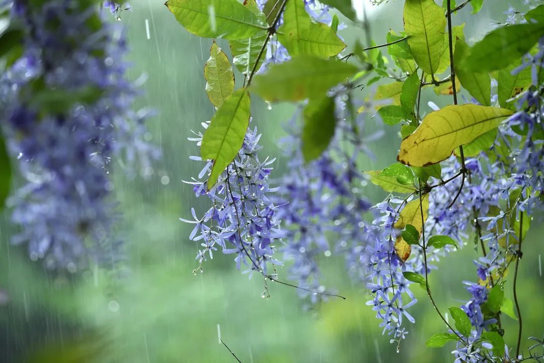 “五一”假期，广东部分地区有大雨和暴雨