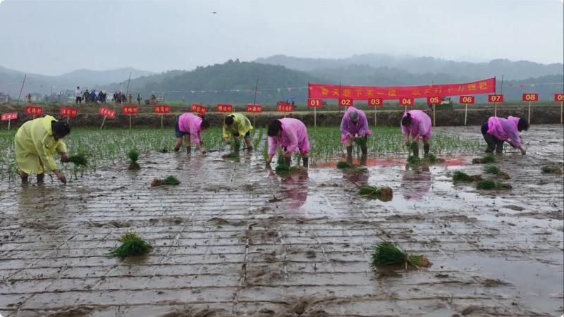 江西：欢度劳动假期 多样活动精彩纷呈