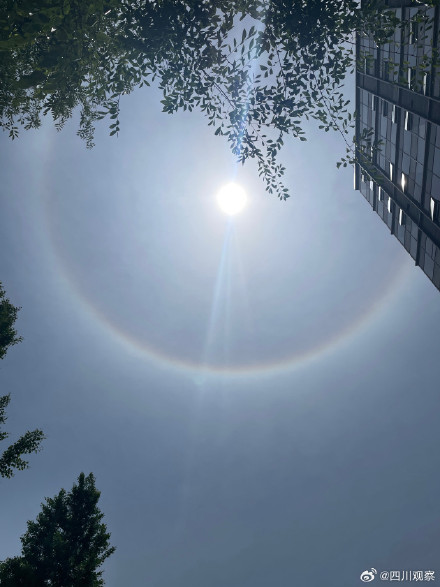 见者好运！成都蛇年蛇月蛇日蛇时日晕