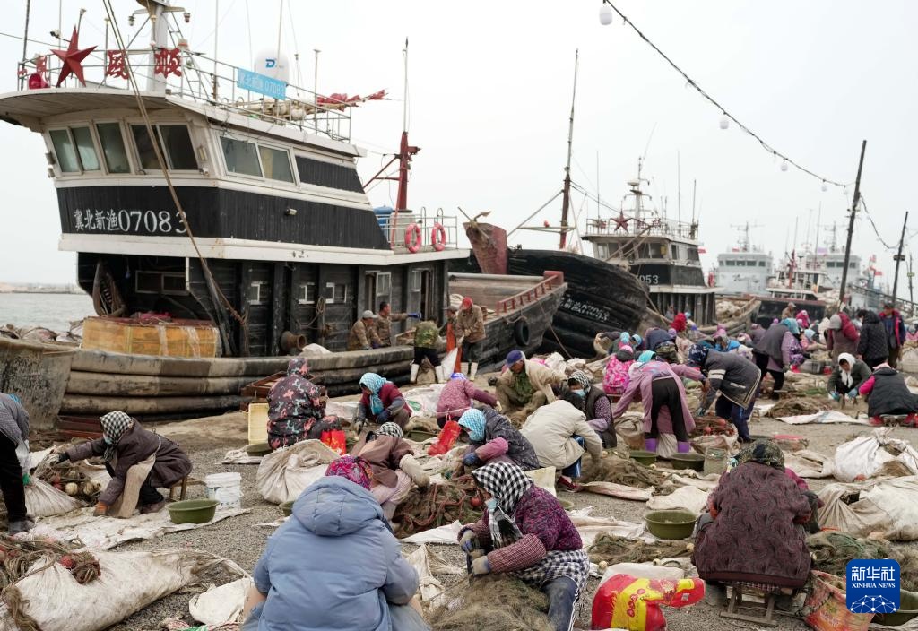 河北秦皇岛：千帆归港 渔网收箱