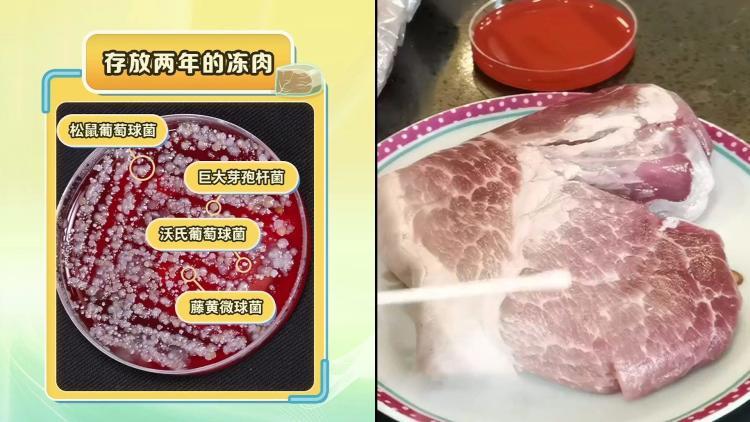 别让冰箱成为“细菌培养皿” 这份使用指南请收好 别让冰箱成为“细菌培养皿” 这份使用指南请收好