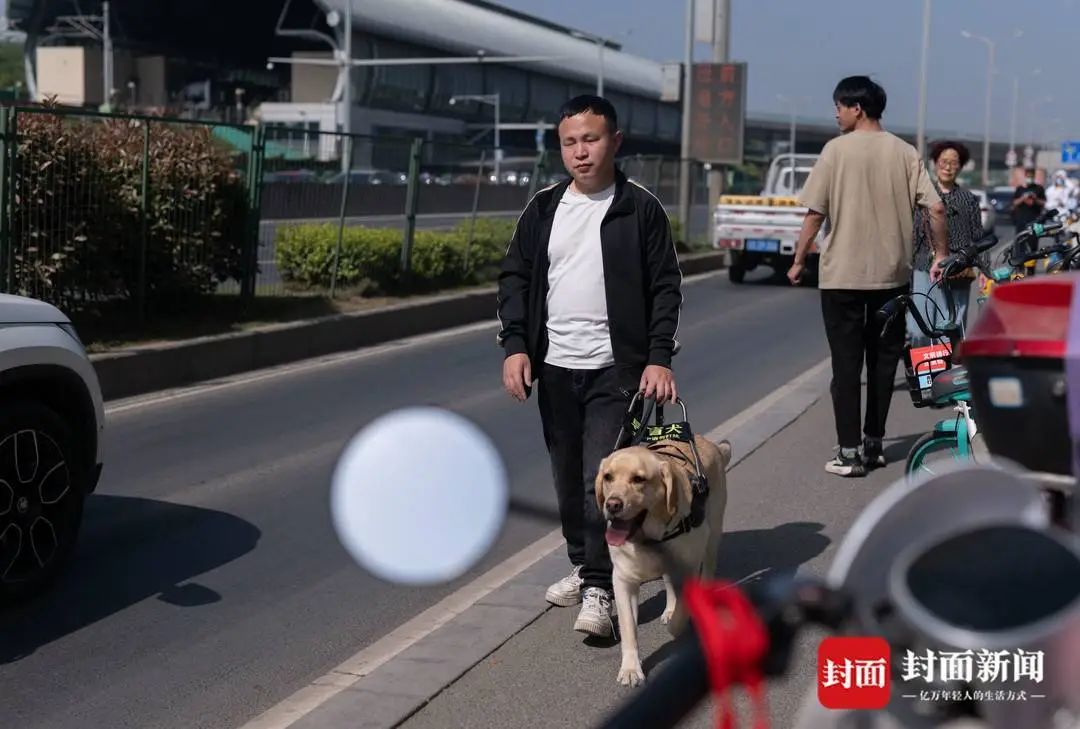 4.25万分之一的幸运！视障者兰海波：导盲犬让我真正拥有了生活