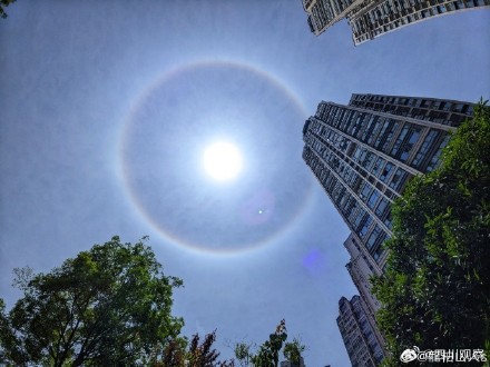 见者好运！成都蛇年蛇月蛇日蛇时日晕