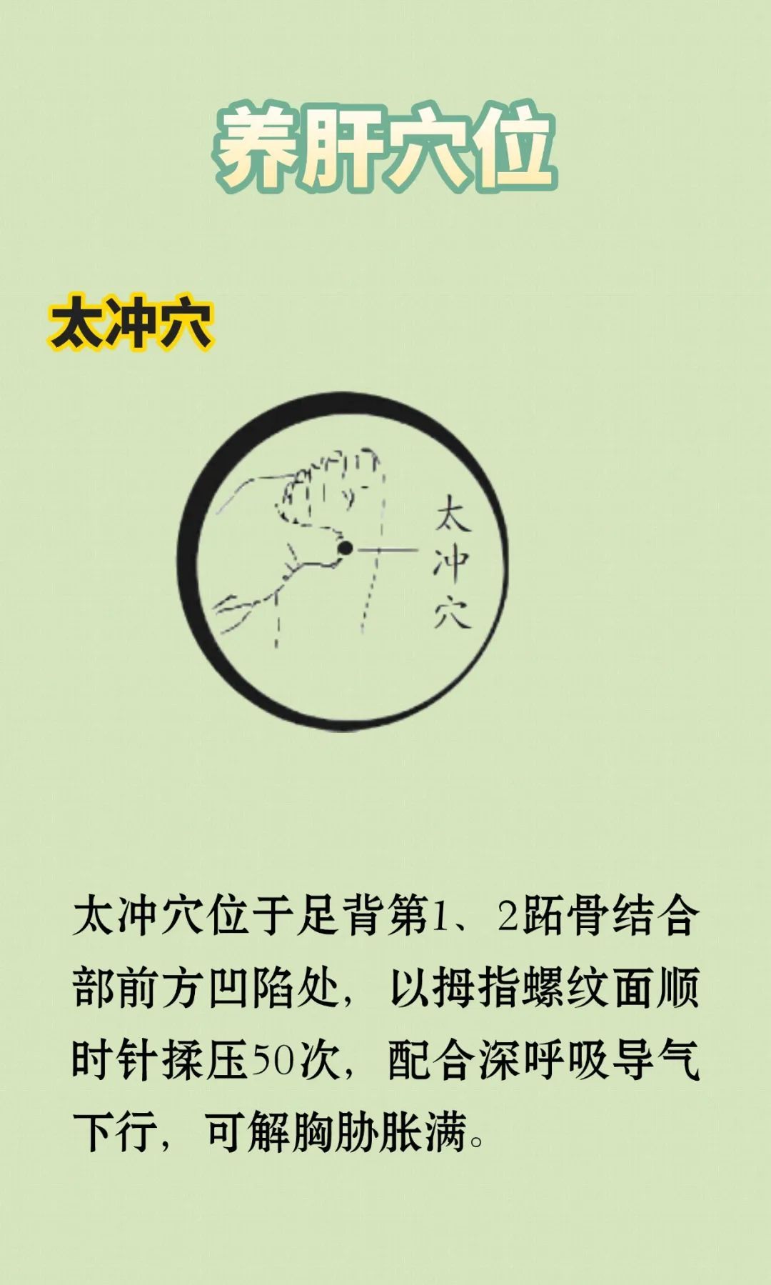 肝好人不老！养肝怎么吃、怎么按、怎么喝？跟着做，抓住春夏养肝黄金期！