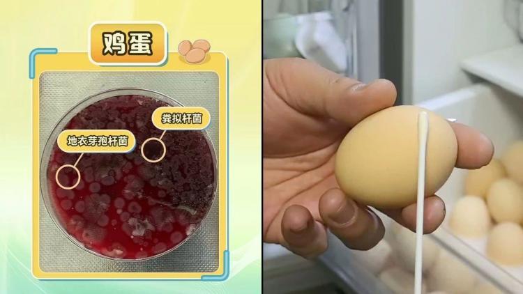 别让冰箱成为“细菌培养皿” 这份使用指南请收好 别让冰箱成为“细菌培养皿” 这份使用指南请收好