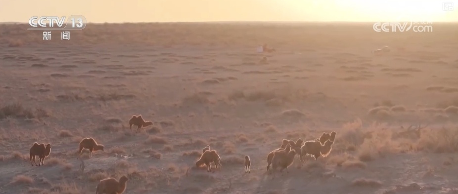 详解：神舟飞船为何首次选择在东风着陆场东区着陆