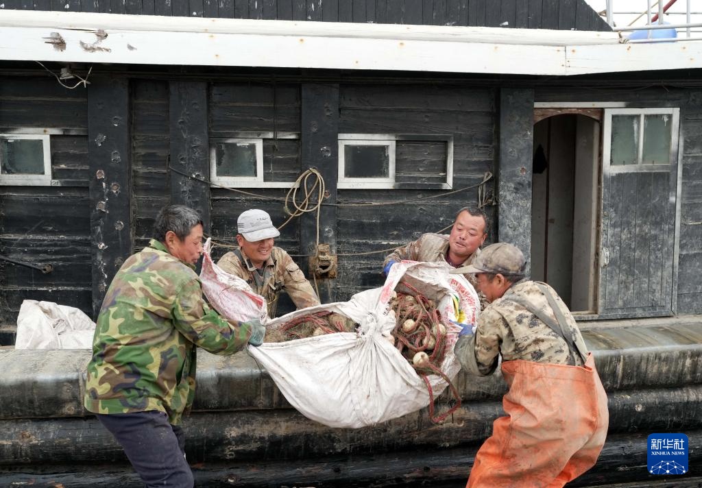 河北秦皇岛：千帆归港 渔网收箱