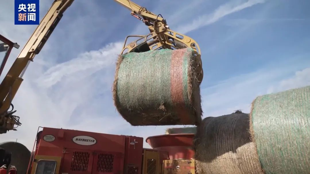 价格暴跌！订单取消！美国这一行业陷“全面危机”