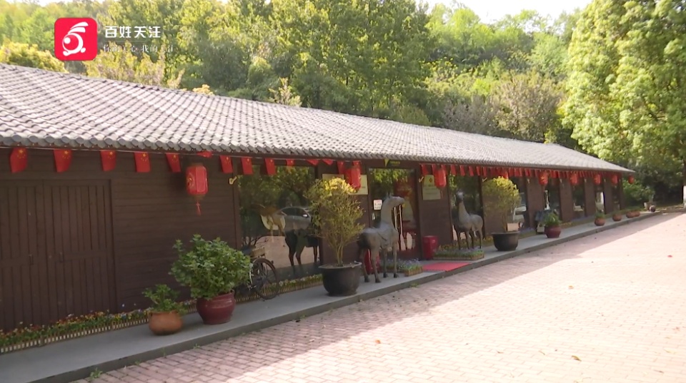 “我说不要加速!”教练用马鞭抽马致女子坠马摔伤,俱乐部:她自己不戴护具 “我说不要加速!”教练用马鞭抽马致女子坠马摔伤,俱乐部:她自己不戴护具