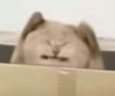 放假回微信不算加班？法院判了……