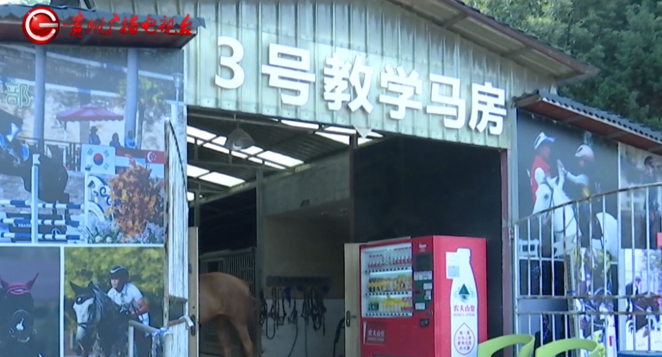 “我说不要加速!”教练用马鞭抽马致女子坠马摔伤,俱乐部:她自己不戴护具 “我说不要加速!”教练用马鞭抽马致女子坠马摔伤,俱乐部:她自己不戴护具